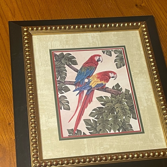 Parrot Artwork - Picture 8 of 8